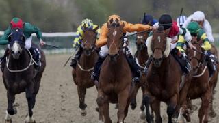 Horses running